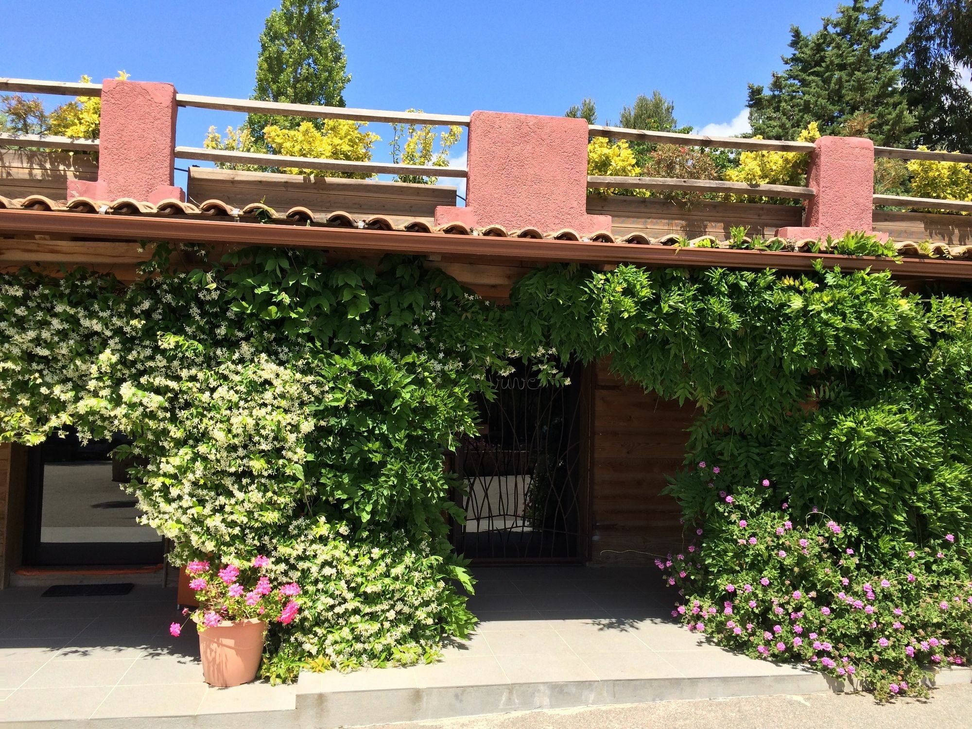 Campsite Vigna Maggiore