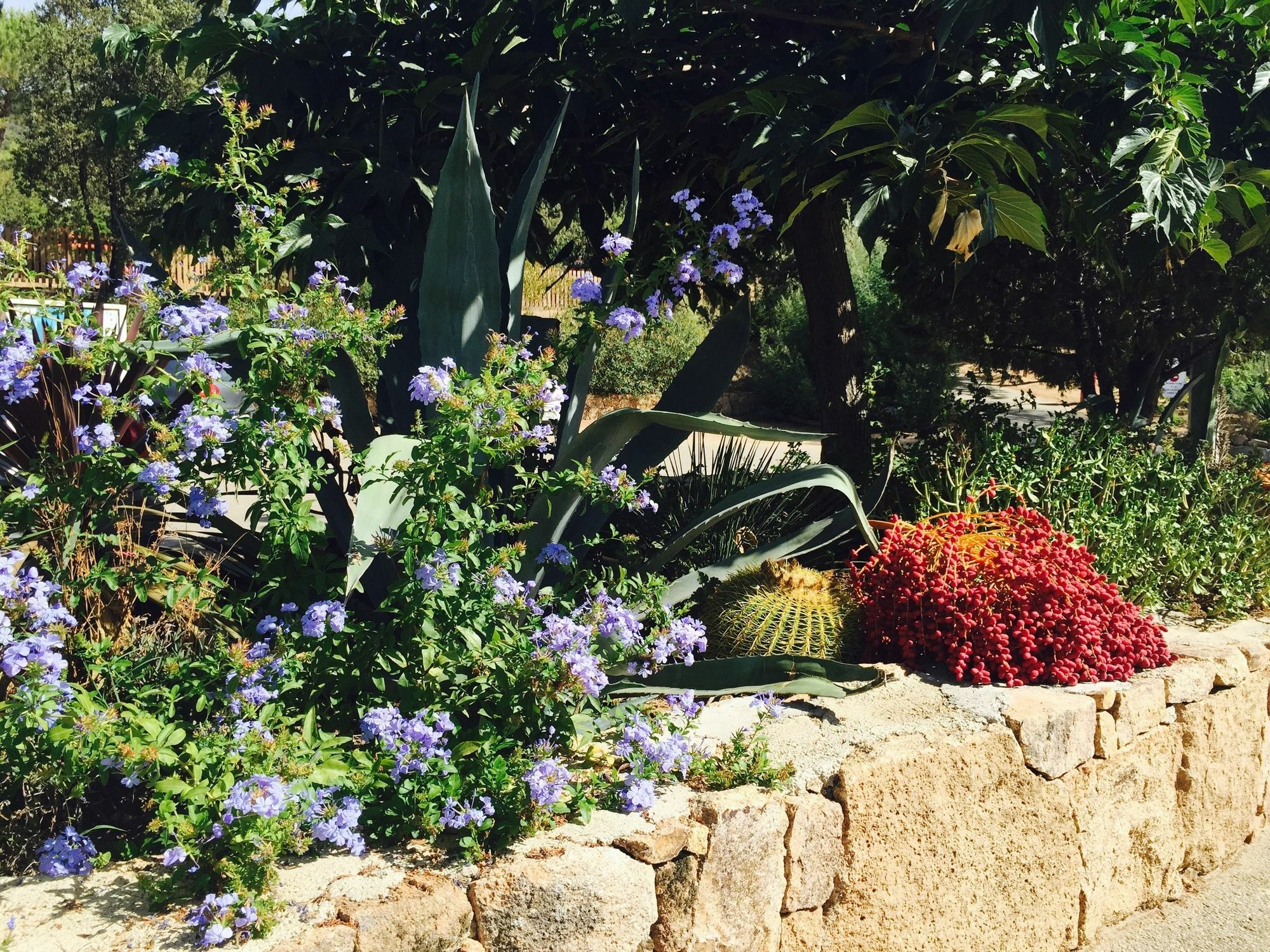 Vigna Maggiore 3* Olmeto (Corsica)