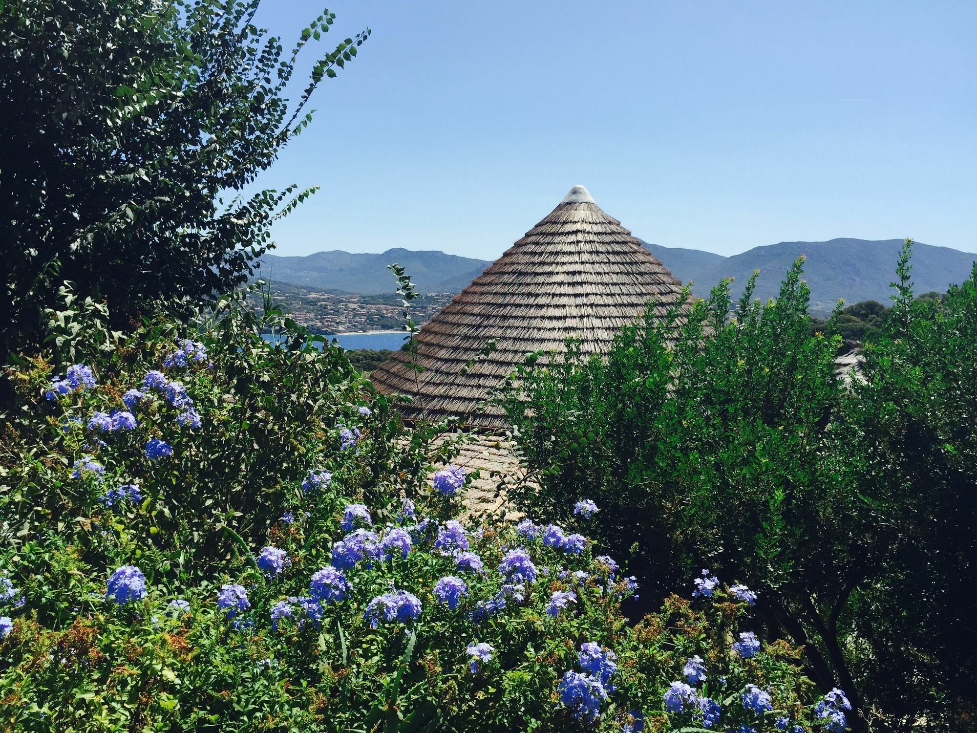 Vigna Maggiore Camping