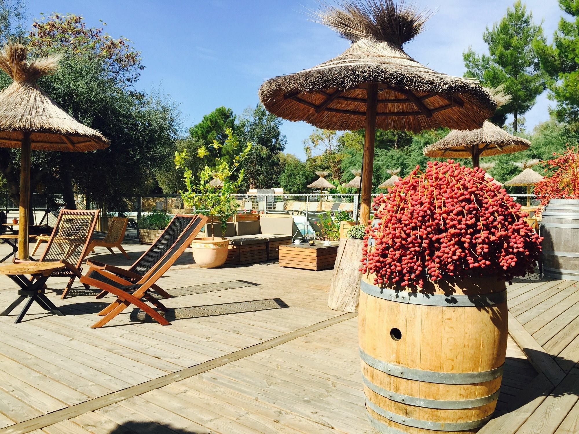 Camping Vigna Maggiore 3*