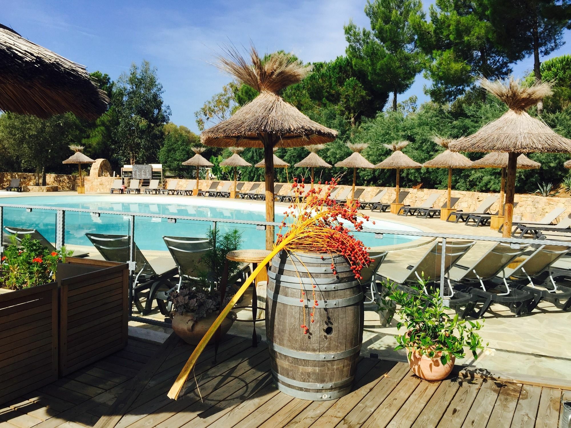 Campsite Vigna Maggiore Olmeto (Corsica)