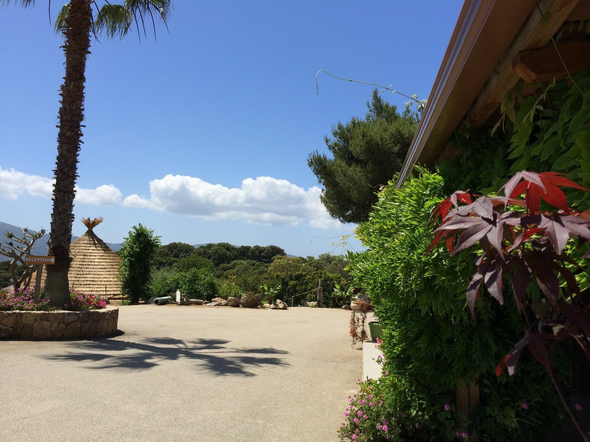 Campsite Vigna Maggiore