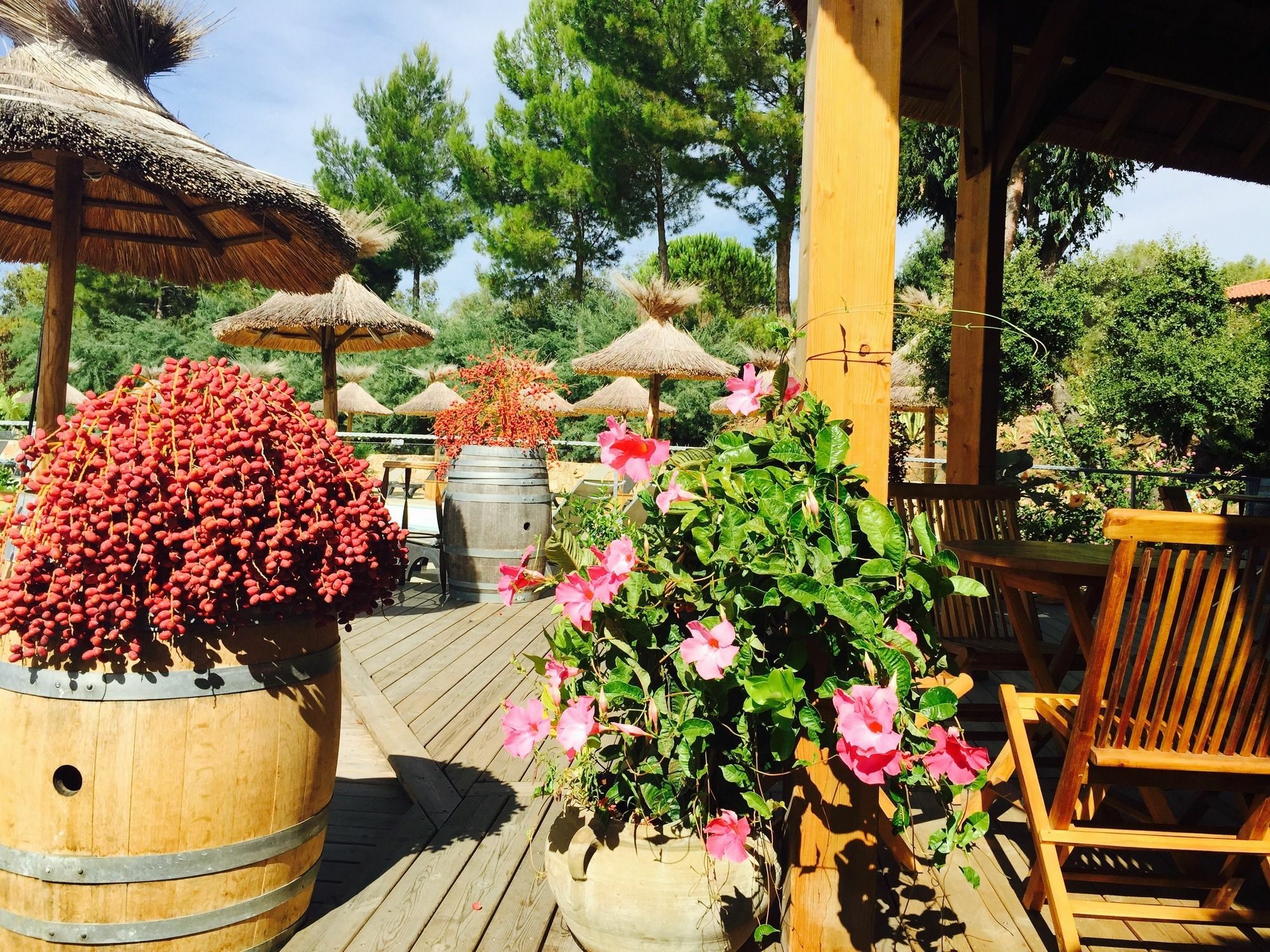 Vigna Maggiore 3*