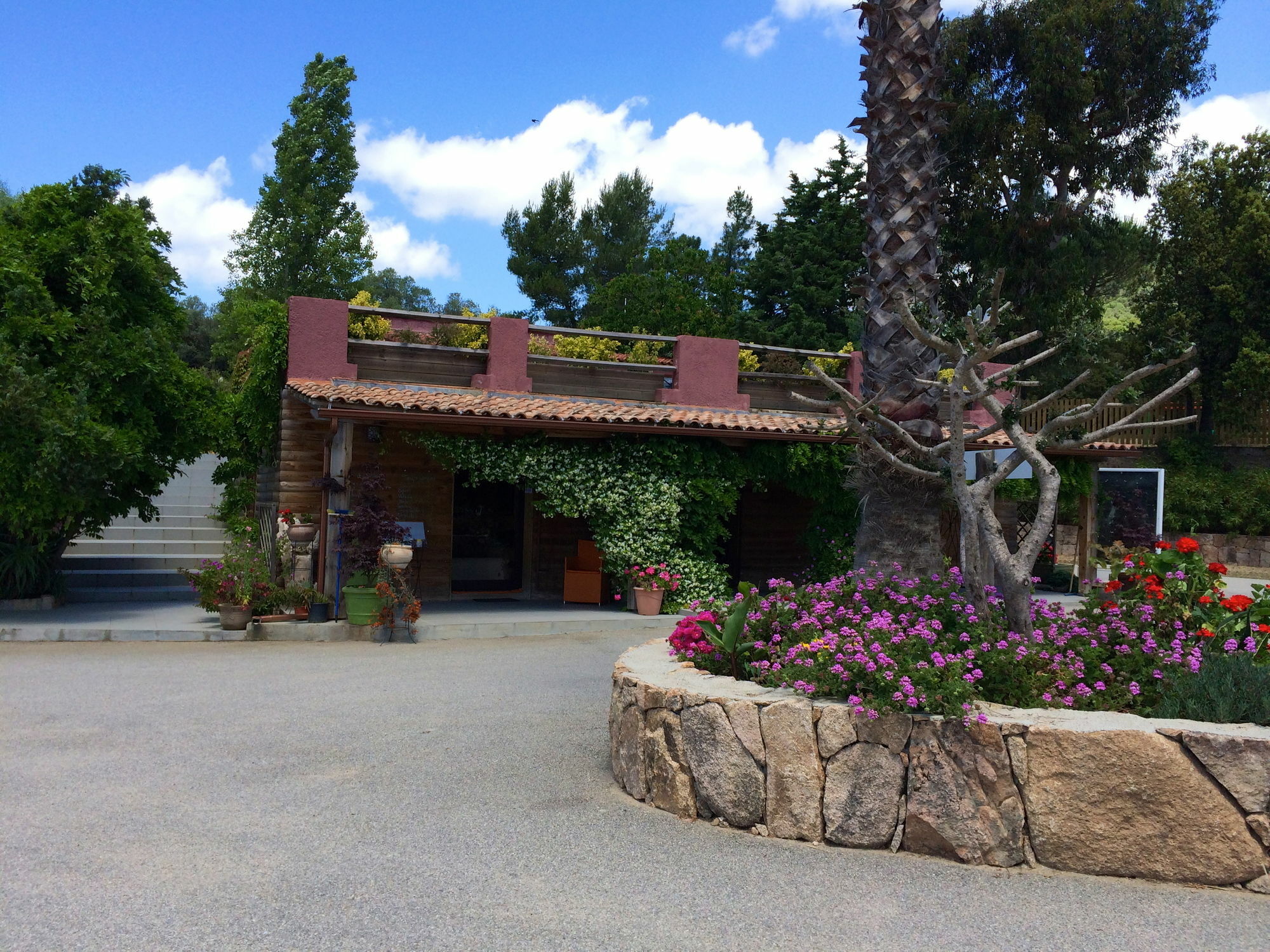 Vigna Maggiore 3*